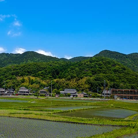 日本産の自然由来成分採用