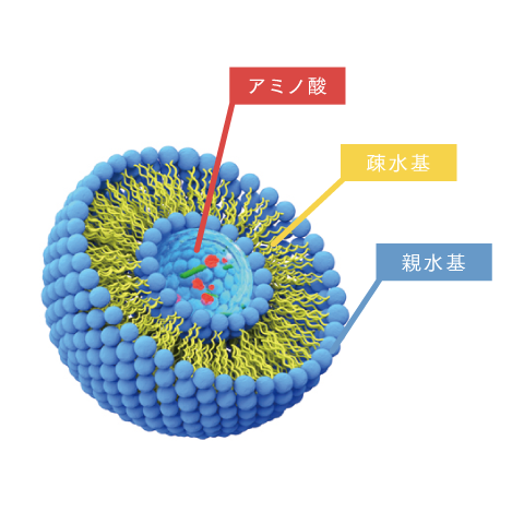 浸透促進と補修を同時に叶える