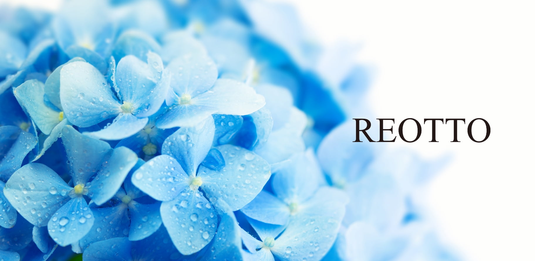REOTTO